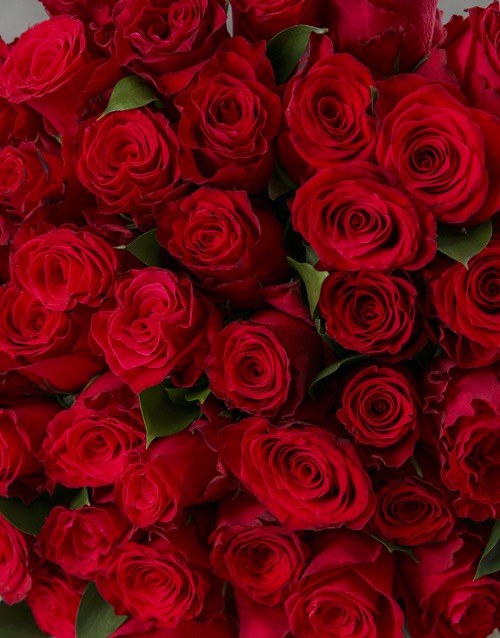 50 Red Roses